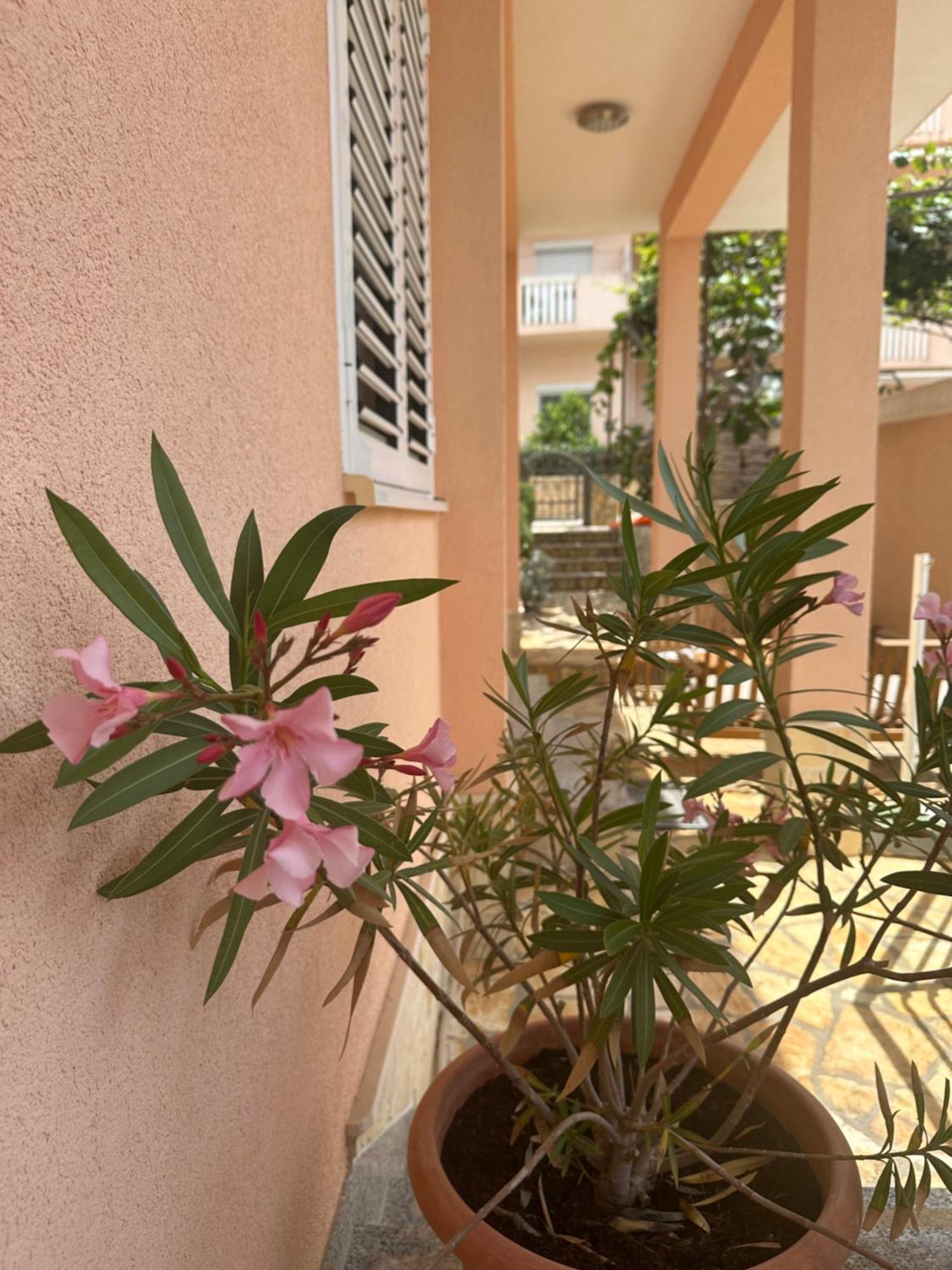 Apartments Zlatka Trogir Luaran gambar